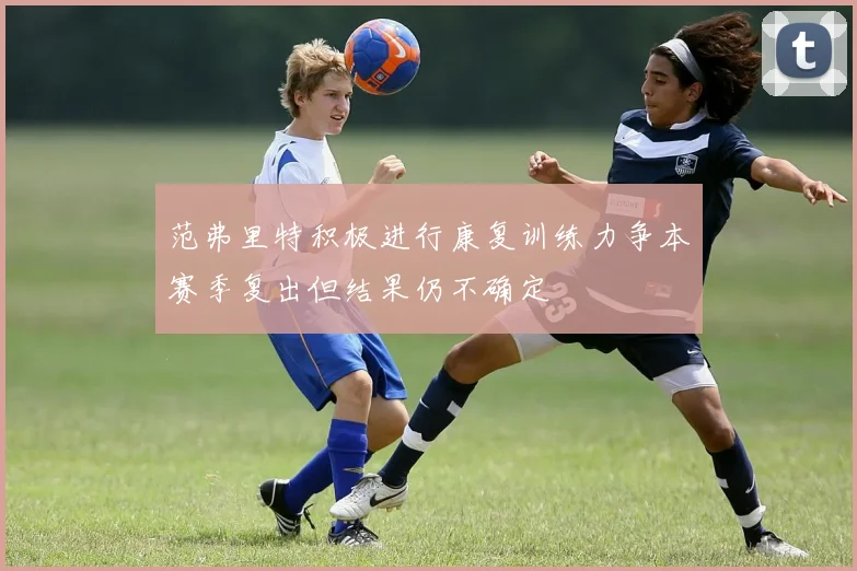 范弗里特积极进行康复训练力争本赛季复出但结果仍不确定