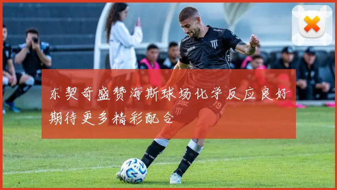 东契奇盛赞海斯球场化学反应良好期待更多精彩配合