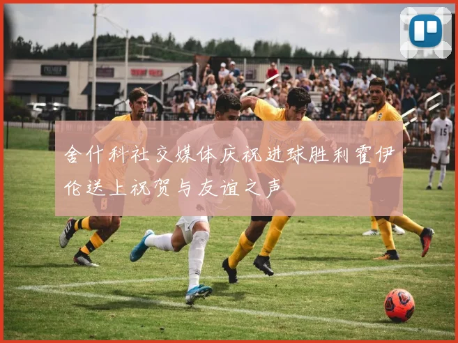 舍什科社交媒体庆祝进球胜利霍伊伦送上祝贺与友谊之声