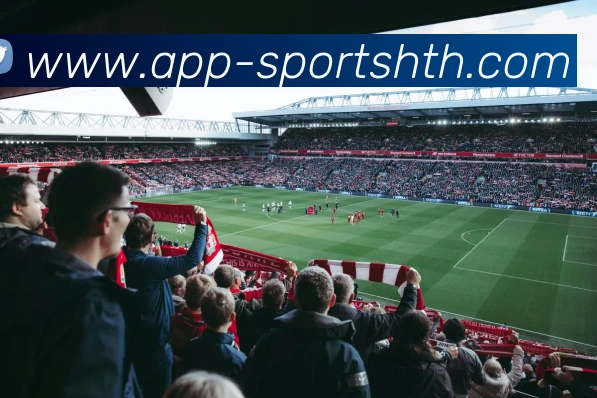 华体会体育平台生态图